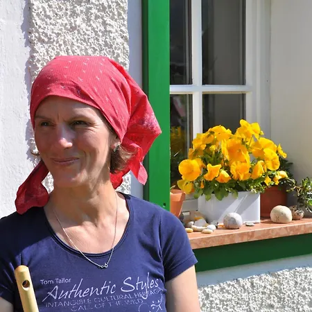 Dichtlbauer Appartement *