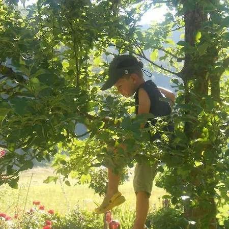 Dichtlbauer Appartement