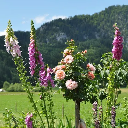 Apartman Dichtlbauer Sankt Gilgen