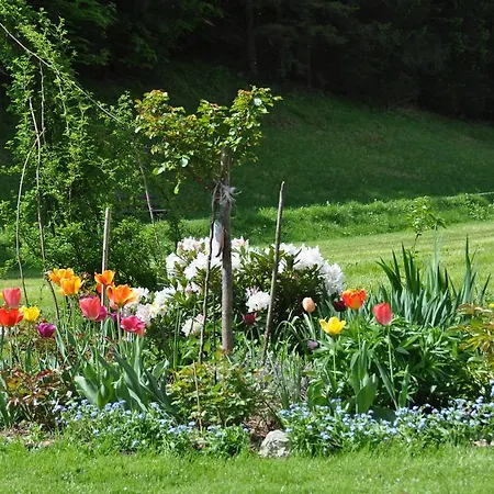 Dichtlbauer