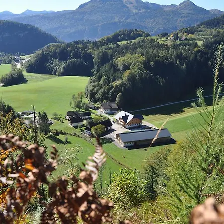 Dichtlbauer Appartement *