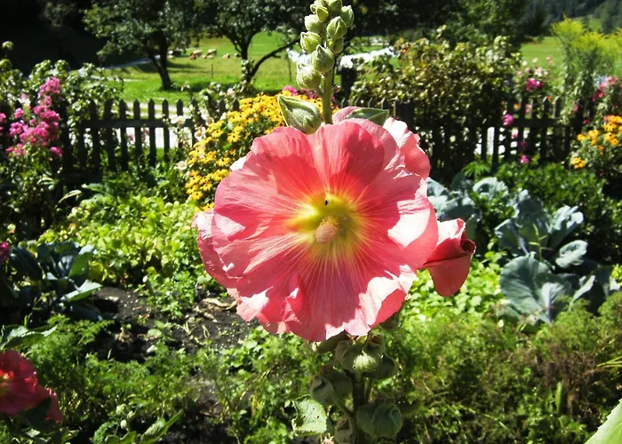 Dichtlbauer Lejlighed Sankt Gilgen