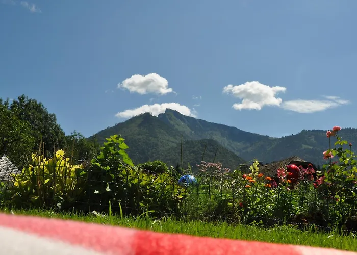 Dichtlbauer Апартаменты Санкт Гильген