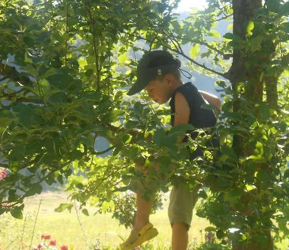 Dichtlbauer Lejlighed