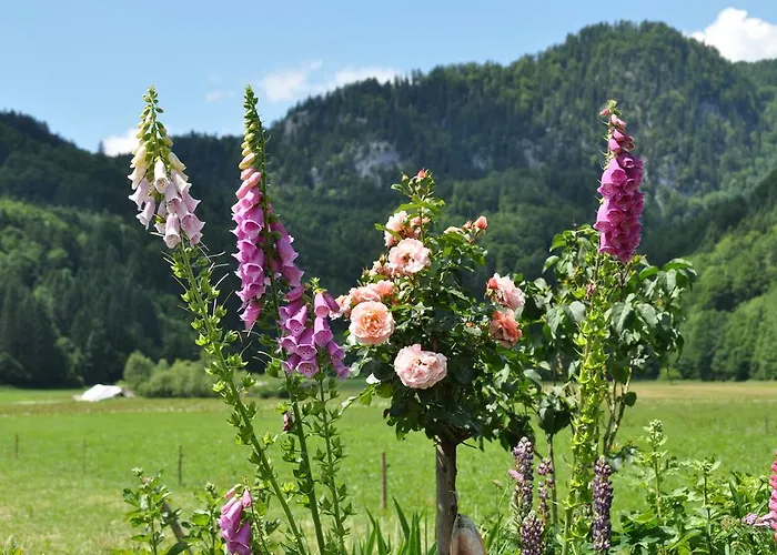 Lejlighed Dichtlbauer Sankt Gilgen