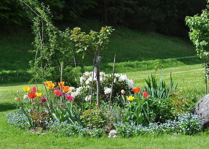 Dichtlbauer