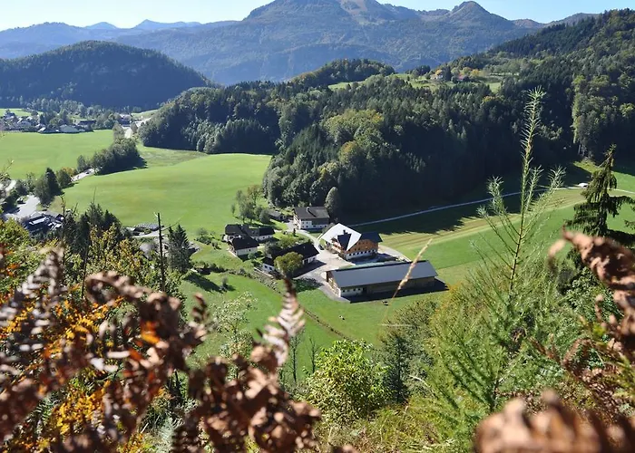 Dichtlbauer Lejlighed *