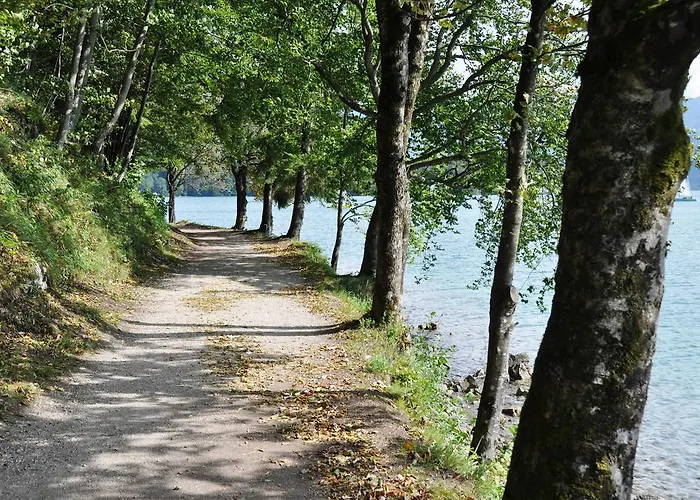 Dichtlbauer *